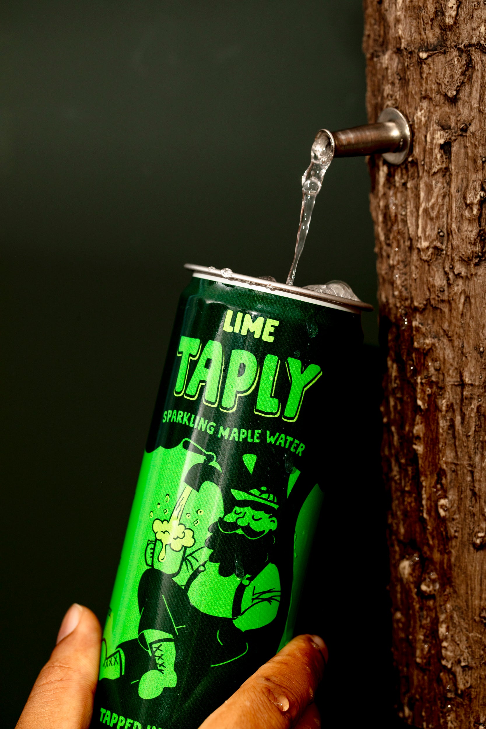 12 pack – Taply